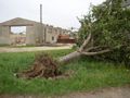 Tornado Tauscha (Jens Tischer)