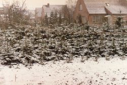 Schnee Mai 1979