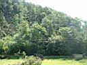 achtveg09.jpg
