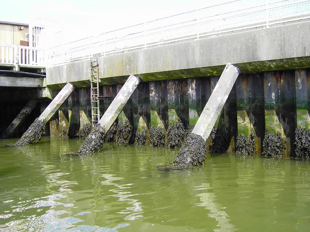 Sturmfluten - Bild 6