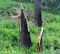 Tornadoschaden