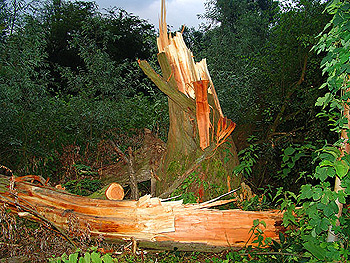 Tornadoschaden