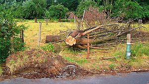 Tornadoschaden