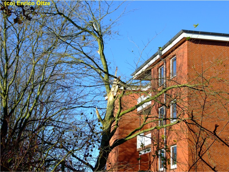 Bad Bramstedt 11