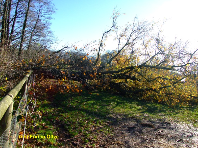 Bad Bramstedt 27