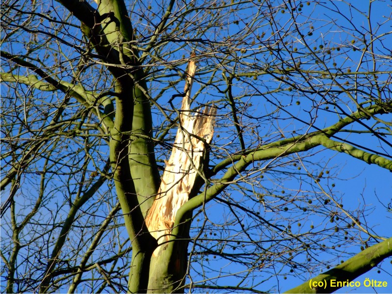 Bad Bramstedt 4