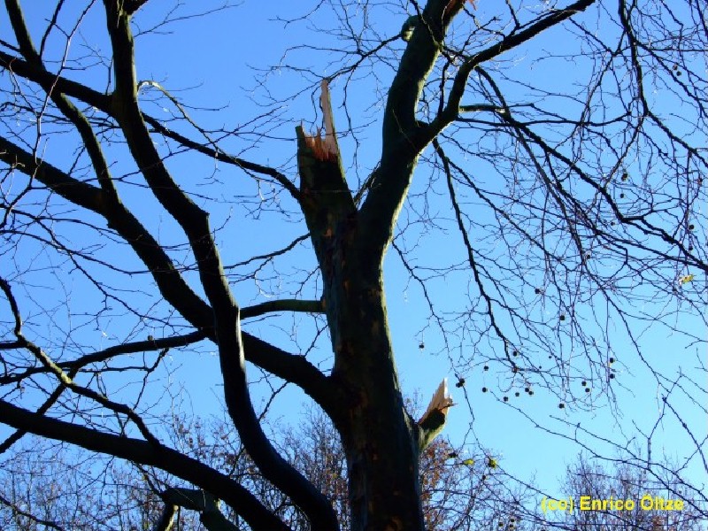 Bad Bramstedt 5