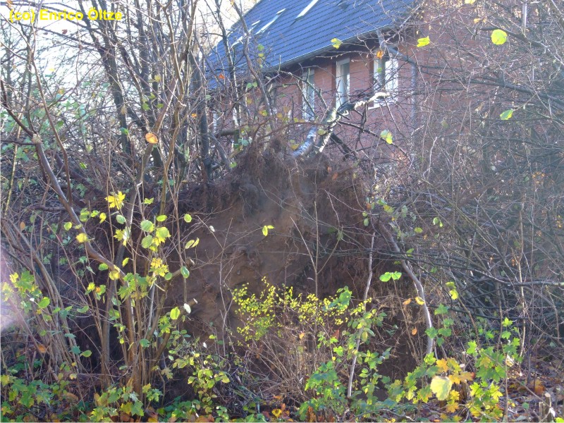 Bad Bramstedt 7
