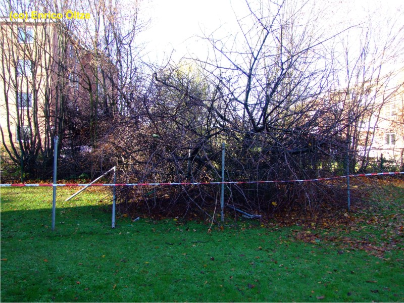 Bad Bramstedt 8